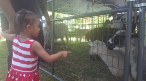 20190701_135245_original